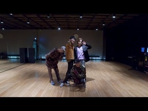 WINNER - EVERYDAY Dance Practice (Mirrored)