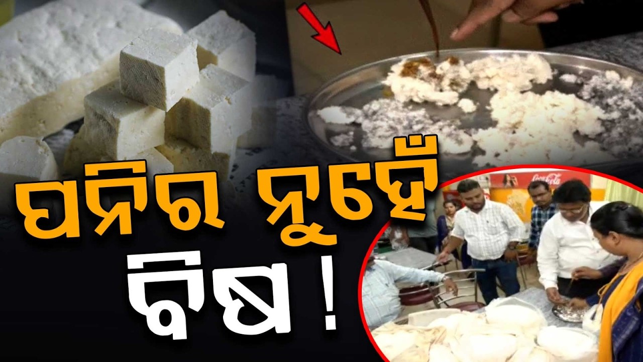 Adulterated Paneer Racket Busted In Cuttack:Huge Quantity Of Fake Paneer Seized From CDA |Argus News