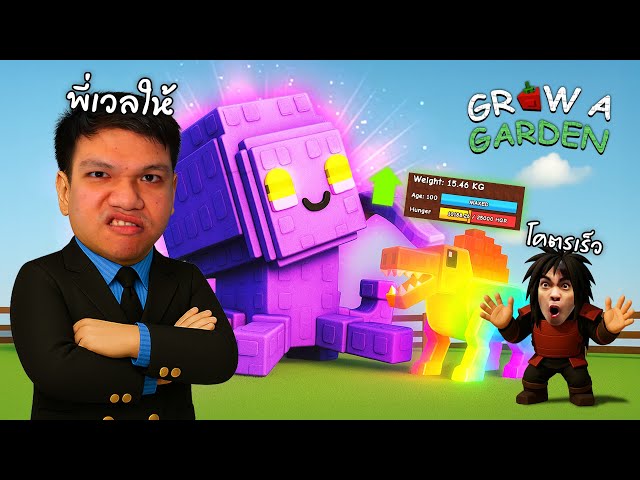 สไปโนเรนโบว์เวลตัน! เพื่อกายหงิดน้องรัก | Grow a Garden Roblox