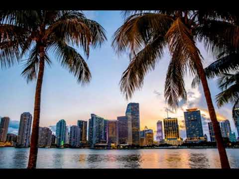 Damn I love Miami: by Lil Jon and Pitbull