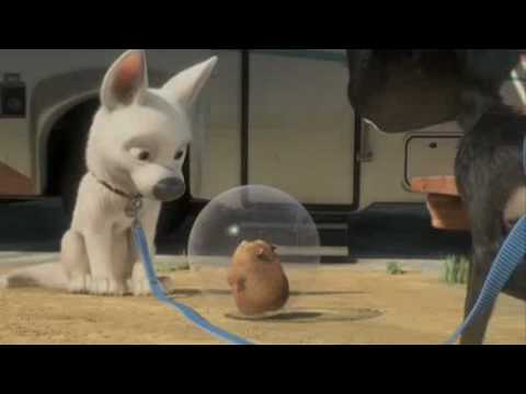 Bolt'