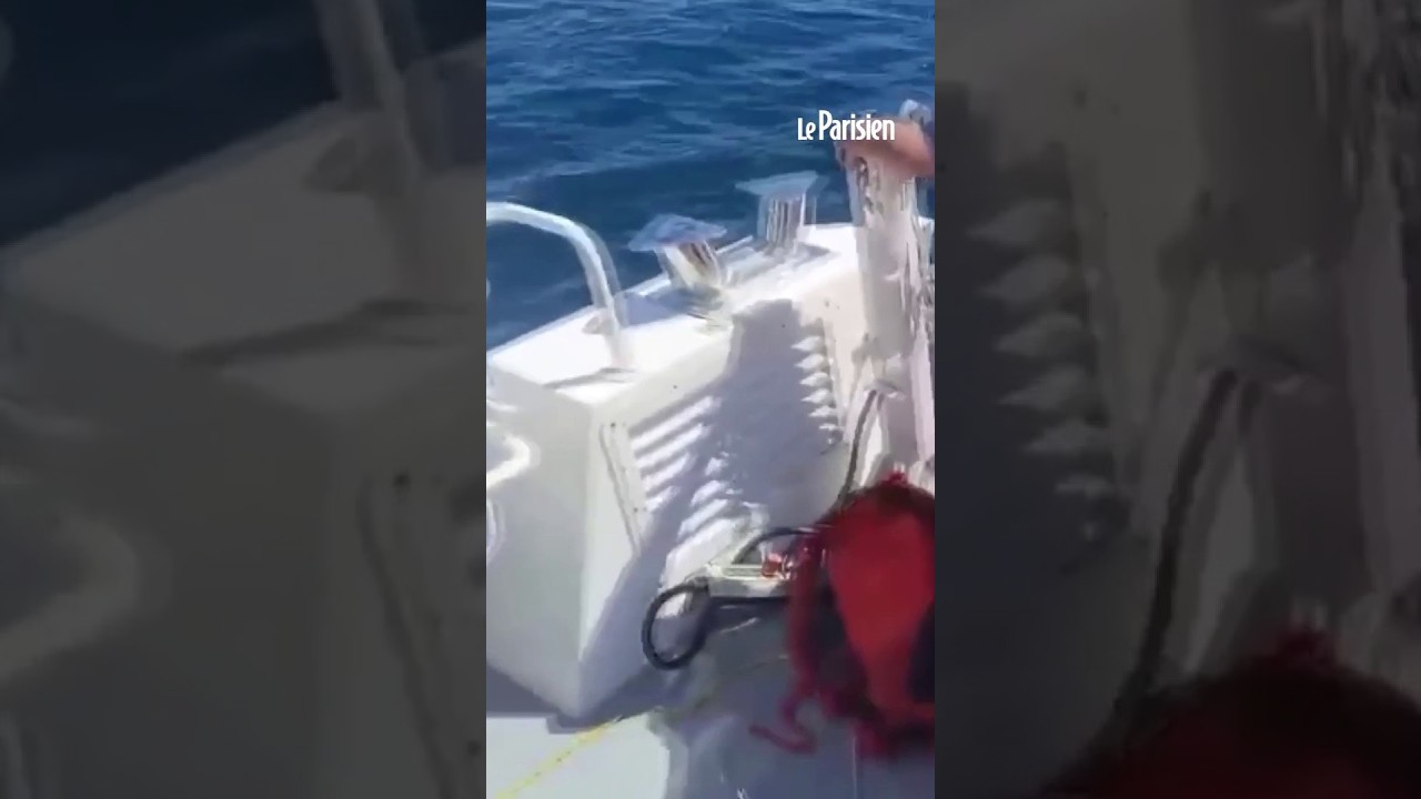 Un avion privé amerrit en urgence en Turquie