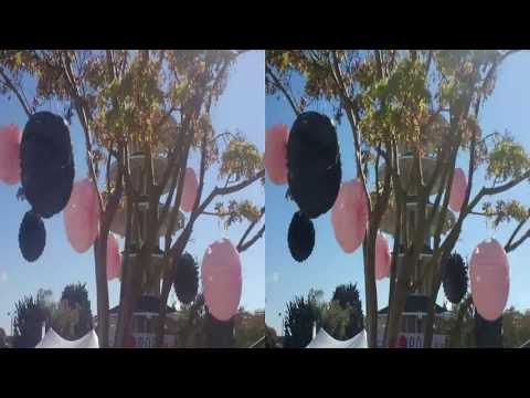 Hanging Ornaments in Japantown (YT3D:Enabled=True)