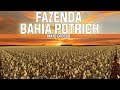 FAZENDA BAHIA POTRICH FS17 v1.0