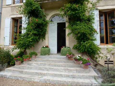 Property video