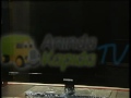 SAMSUNG LE-40B530 LCD TV - AnindaKapida.com