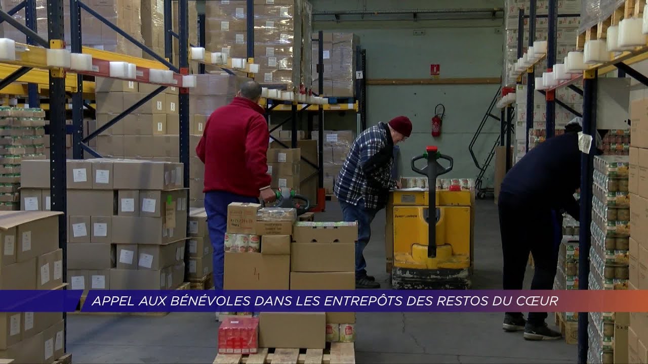 Yvelines | Appel aux bénévoles dans les entrepôts des Restos du Coeur