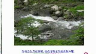 縮圖