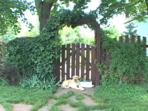 Vidéo de l’hébergement