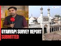 Gyanvapi Mosque Survey Report Submitted In Court By Archaeological Body
