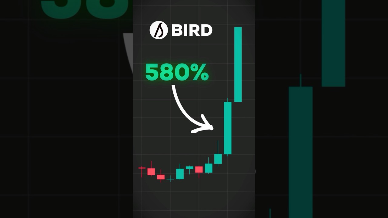 Allbirds AI Pivot Made Their Stock EXPLODE