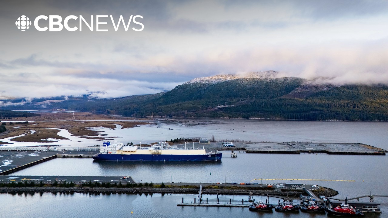 LNG Canada will use Chinese steel for parts of Phase 2 expansion project in B.C.