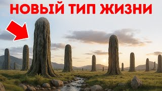 Палеонтологи обнаружили форму жизни, которая не вписывается в эволюцию