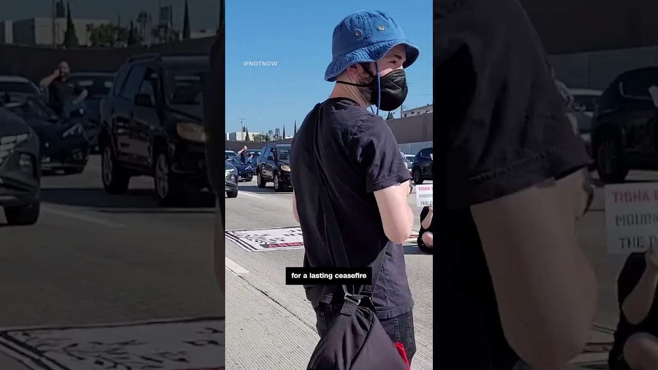 Drone footage shows pro-Palestinian protesters blocking LA freeway