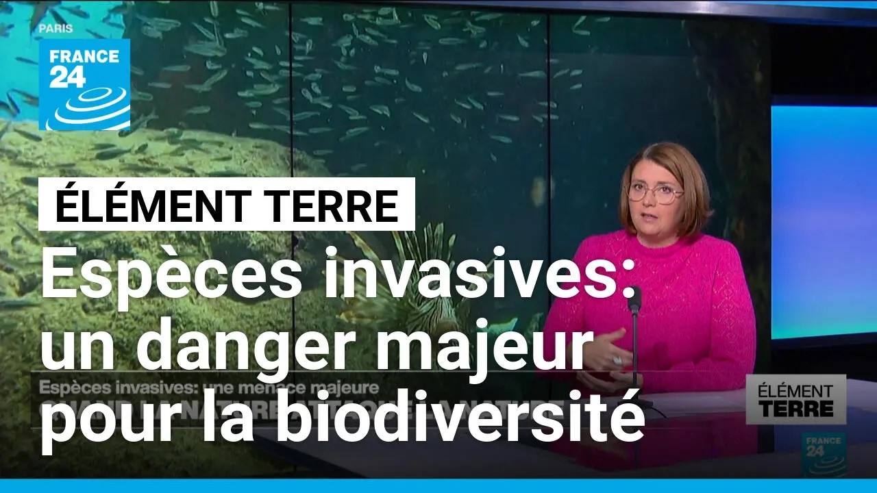 Espèces invasives: quand la Nature attaque la Nature • FRANCE 24