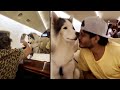 Vijay Devarakonda Making Fun With His Dog | IndiaGlitz Telugu
