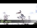 Nate Adams Gets Back On His Bike To Train For X Games 2012 