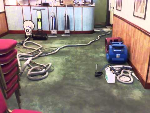 Peter Thomas - Golders Green NW11 - Carpet Cleaning