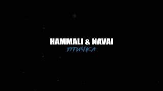 HammAli & Navai — Птичка