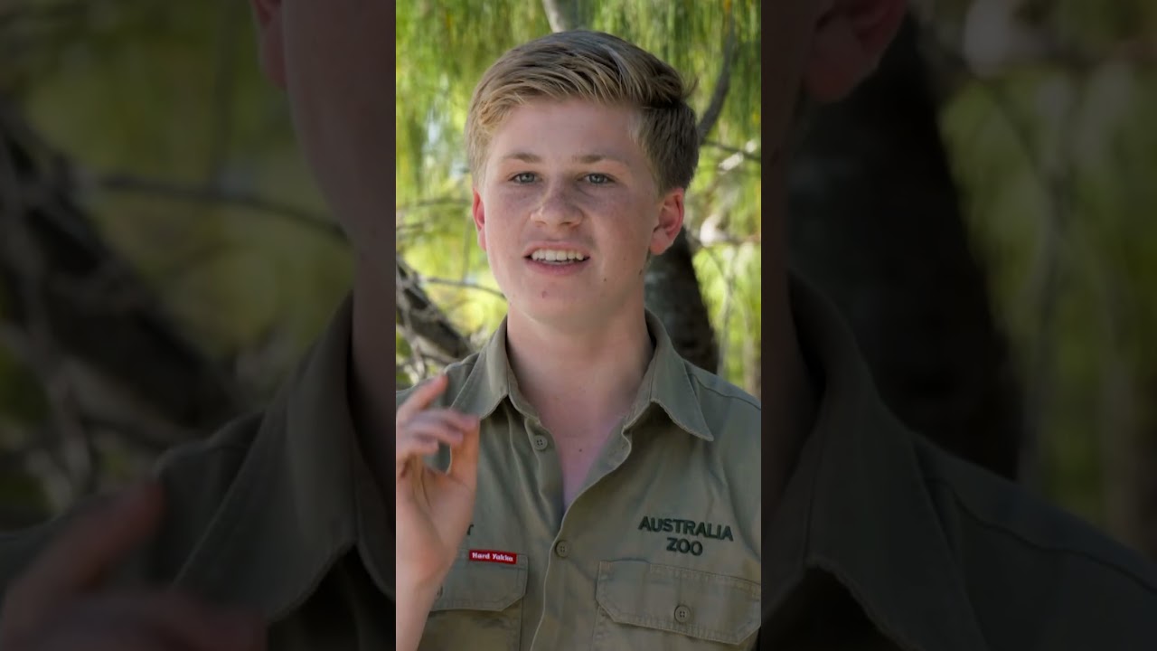 Robert Irwin Tries to Snap a Pic of a Manta Ray! | Crikey! It's the Irwins | Animal Planet