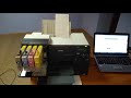 Сублимационный принтер Epson B310N c СНПЧ