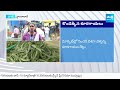 Vegetable Prices Hike in Telugu States | Vegetable Prices Today @SakshiTV  - 02:54 min - News - Video