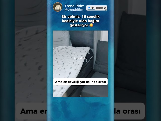 16 Yaşındaki Kedisiyle Bağını Gösteren Adam 🥰😂