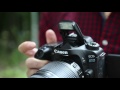 Обзор фотоаппарата Canon EOS 80D