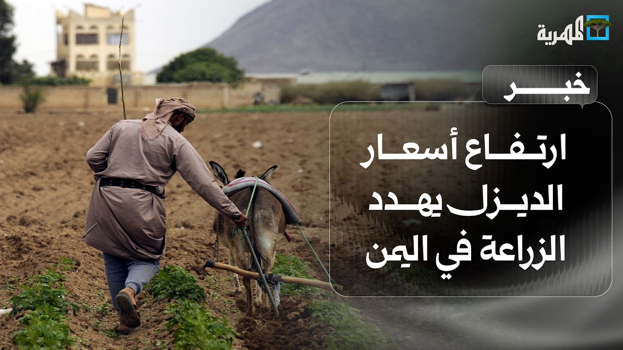 ارتفاع أسعار الديزل يهدد الزراعة في اليمن ويعمق أزمة الغذاء