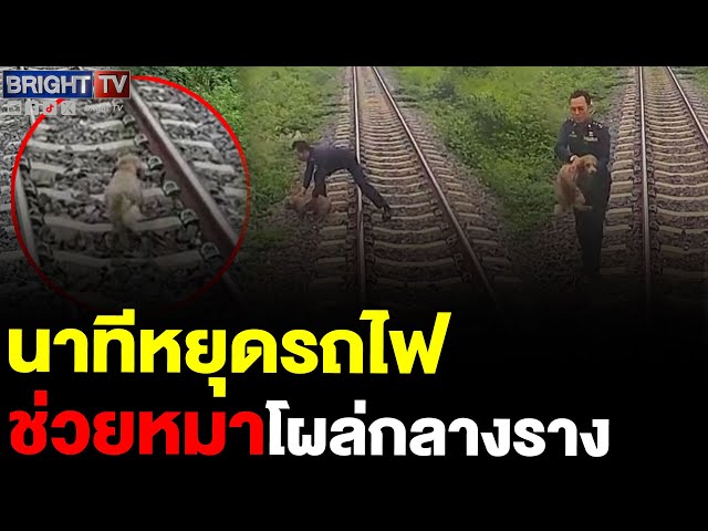 เจ้าหน้าที่รถไฟ หยุดขบวนทันเวลา! ช่วยชีวิตน้องหมาหลงทาง