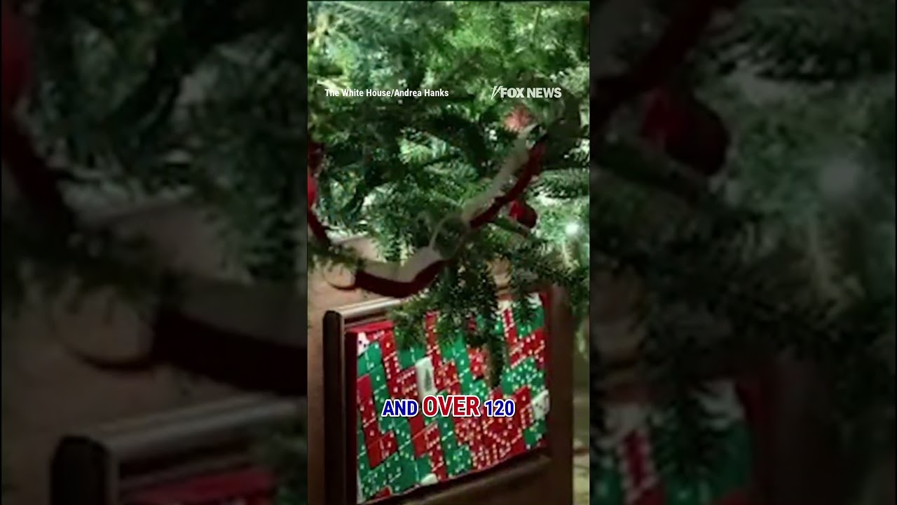 SEE IT: White House unveils STUNNING Christmas decorations #shorts #christmas #holiday #whitehouse