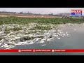 మేడ్చల్ జిల్లా ఏదులాబాద్ చెరువులో చేపల మృతి | BT  - 03:20 min - News - Video