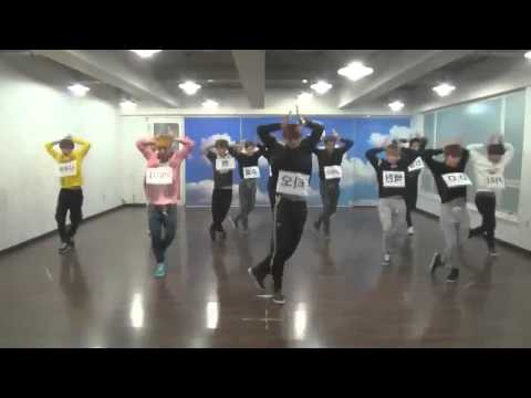 EXO WOLF Dance mirrored