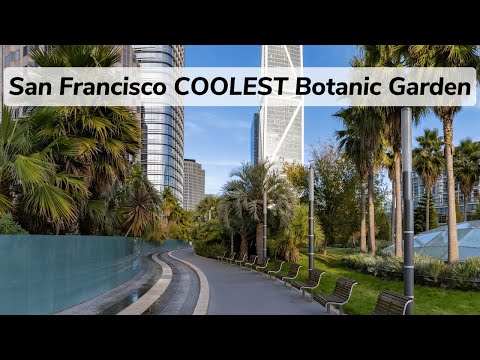 Salesforce Park: Boasts 16,000 Plants & 600 Trees Collection