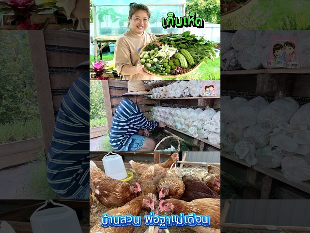 เก็บเห็ดบ้านสวนค่ะ