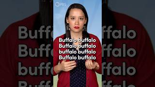 Buffalo buffalo Buffalo buffalo buffalo buffalo Buffalo buffalo