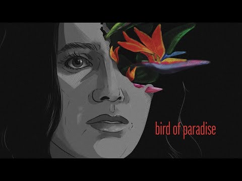 Bird of Paradise'