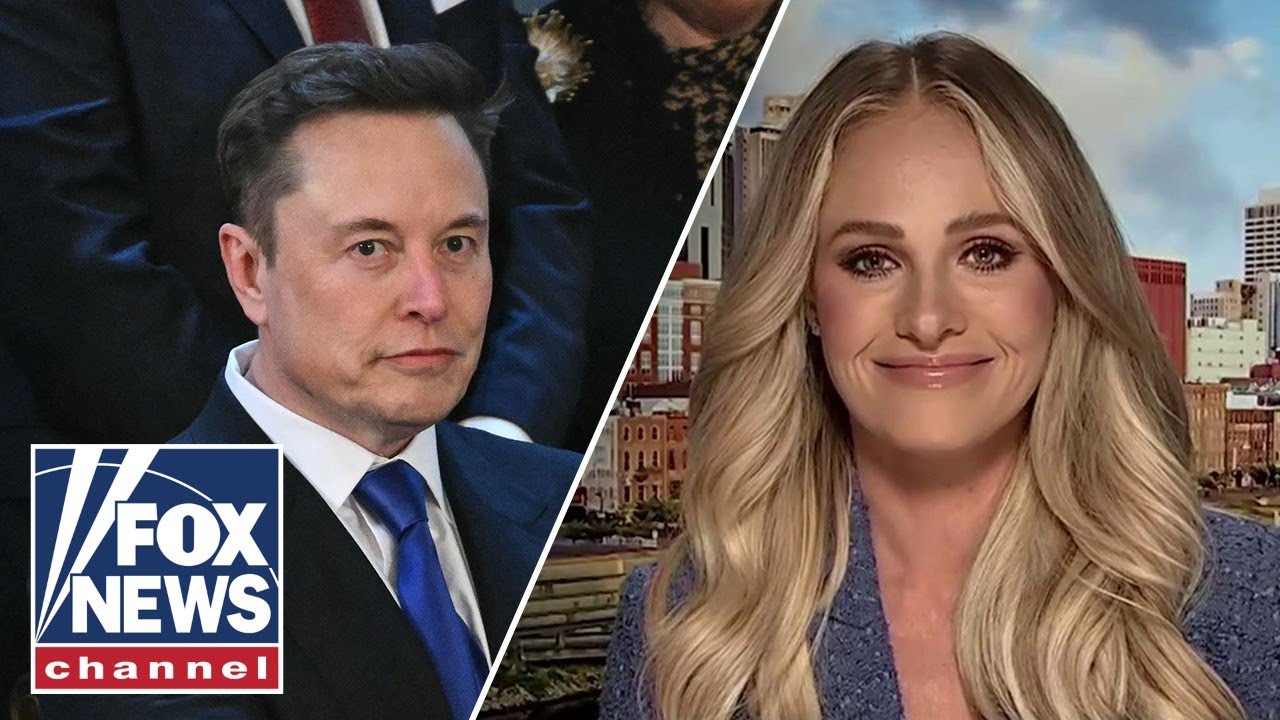 'Nothingburger': Tomi Lahren brushes off Musk drug use claims