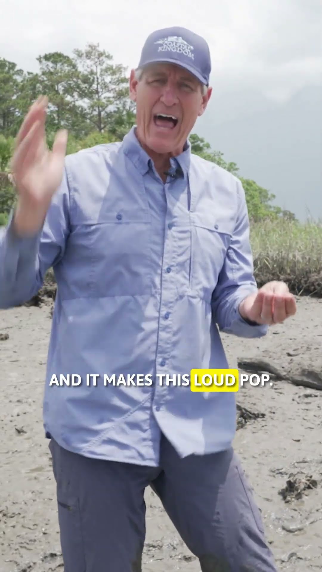 screenshot of youtube video titled Learn about the big-claw snapping shrimp and its surprising powers!