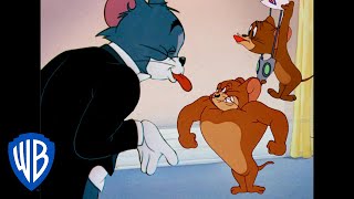 Tom a Jerry - pro zábavu