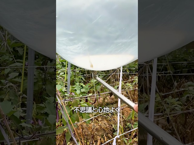気泡抜き作業