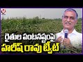 Harish Rao Demands Government To Support Farmers Who Lost Their Crop For UnexpectedRainfall | V6News