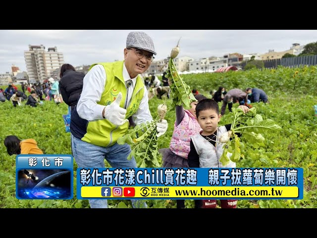 彰化市花漾Chill賞花趣 親子拔蘿蔔樂開懷