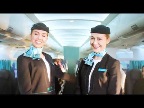 SATA TRAVELS :: Passenger sales agent #Flynas #SATA #Egyptair
