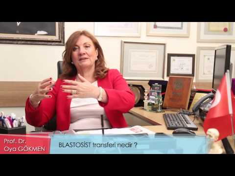 Blastosist transferi nedir?