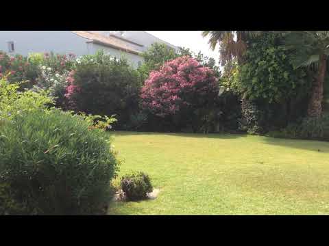 Property video