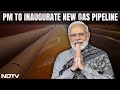 GAIL Director On New Assam Pipeline: Will Connect Northeast National Gas Network