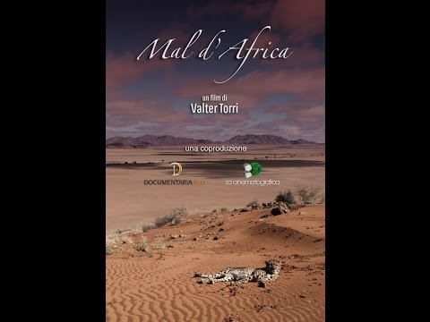 Mal d'Africa'