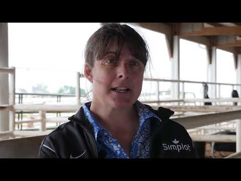 The Value of the U.S. Beef Industry Sustainability Framework The Value of the U.S. Beef Industry Sustainability Framework