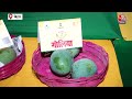 Bihar: Patan में दो दिवसीय Mango Festival का आयोजन, अलग-अलग किस्मों का मजा ले रहे हैं लोग | Aaj Tak  - 02:05 min - News - Video